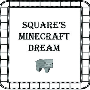 Squaresminecraftdream